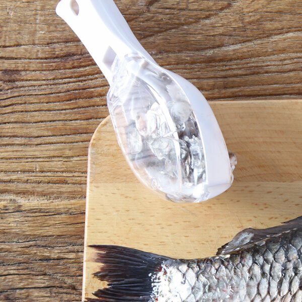 Fish Scale Remover & Skin Peeler – Quick, Efficient & Easy to Us - Image 7