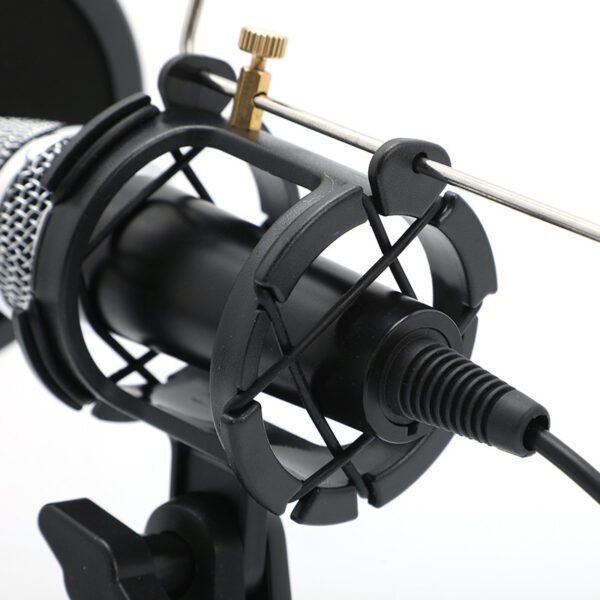 Mini Mobile Broadcast Microphone Compact & High-Quality Sound - Image 2
